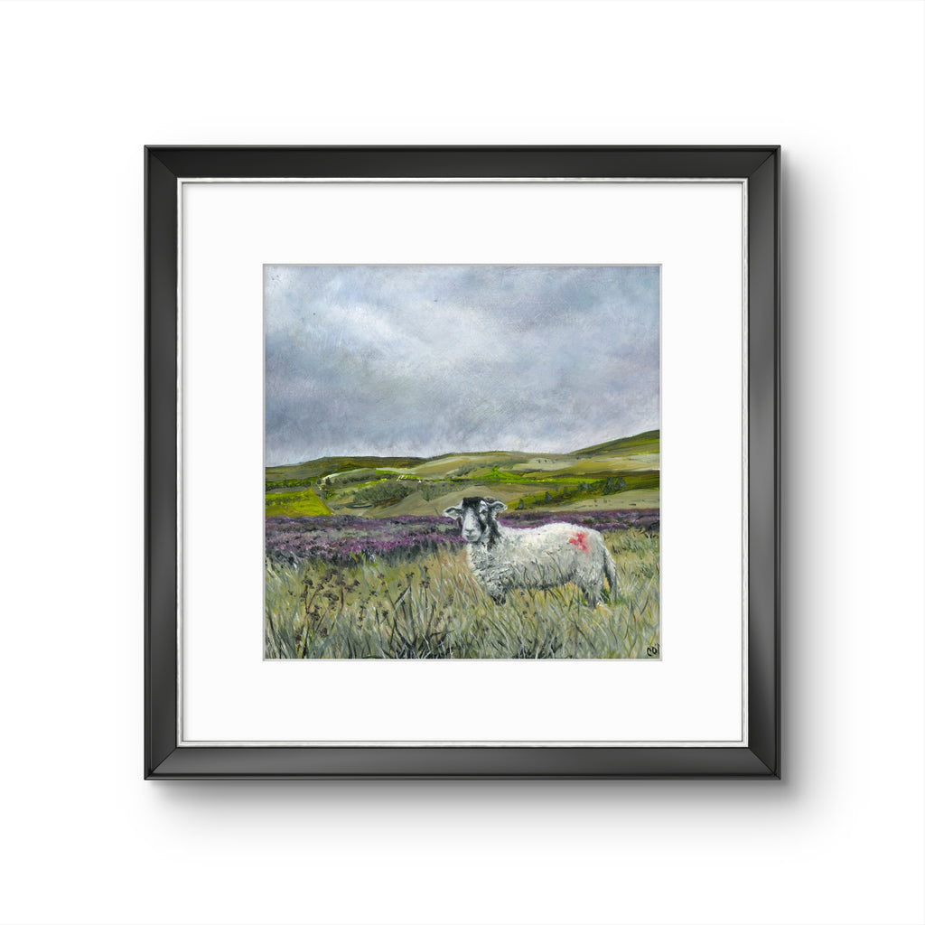 Sheep on Moorland