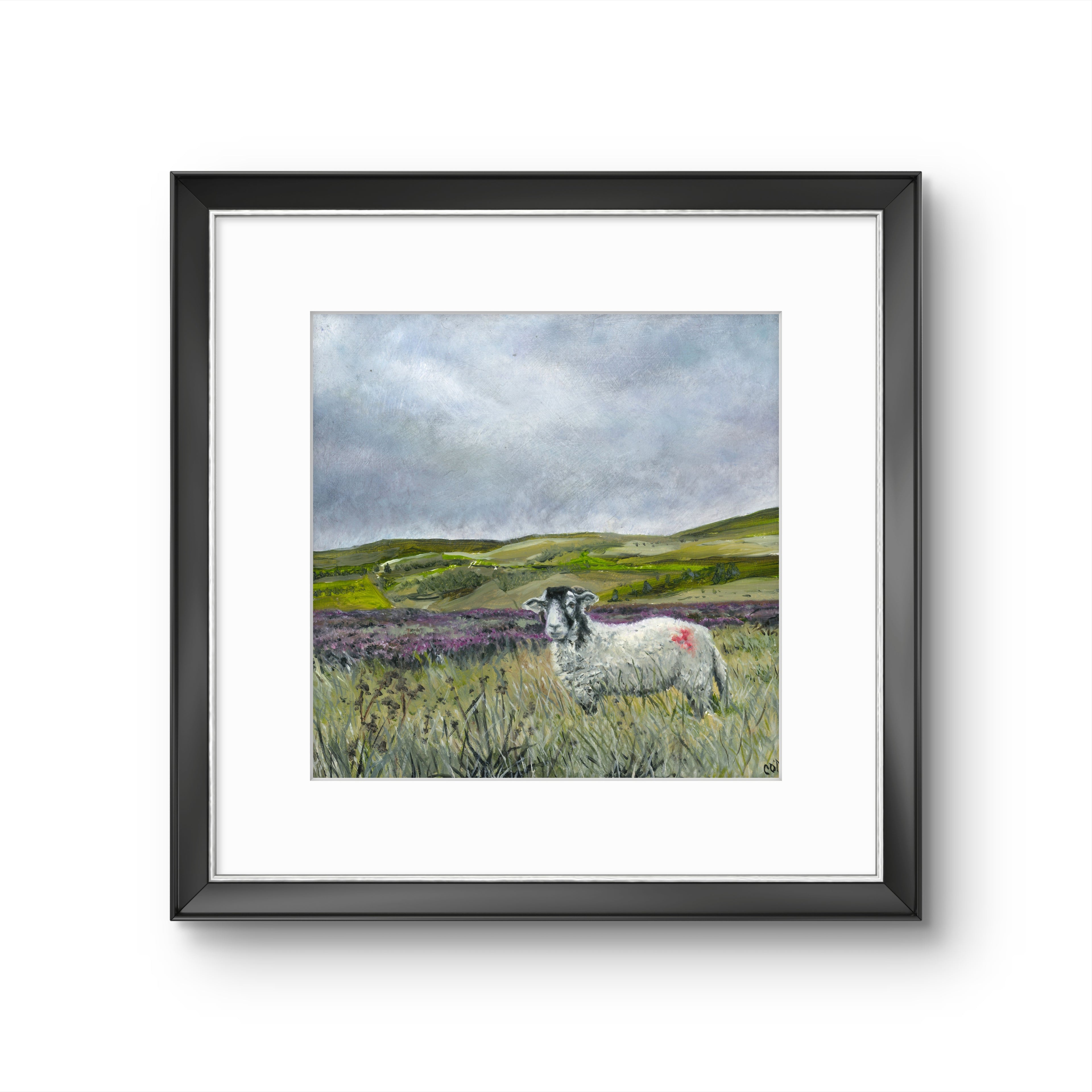 Sheep on Moorland